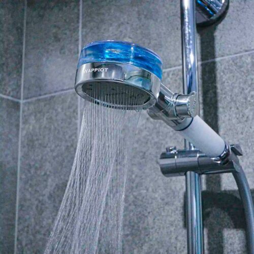 🚿 Ducha EcoPression Antical